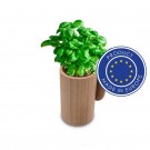 Reklaminė atributika su logotipu (Wooden pot, basil seeds and soil | Dottie)