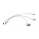 Trys viename USB kabelis Trigo