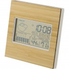 Reklaminė atributika su logotipu (Weather station)