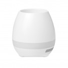 Bluetooth kolonėlė - vazonas