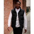 Drabužiai reklamai (Northdale Insulated Bodywarmer), Regatta Professional TRA898