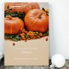 Reklaminė skrajutė, A6 (105x148 mm), 250 g