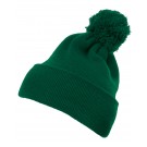 Drabužiai reklamai (Cuffed Pom Pom Knit Beanie), Flexfit 1501P