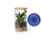 Reklaminė atributika su logotipu (Glass terrarium, cactus seeds)