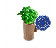 Reklaminė atributika su logotipu (Wooden pot, basil seeds and soil | Dottie)