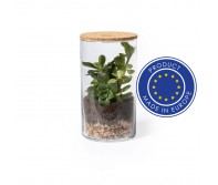 Reklaminė atributika su logotipu (Glass terrarium, cactus seeds)