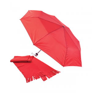Verslo dovanos Bitem (umbrella&scarf set)