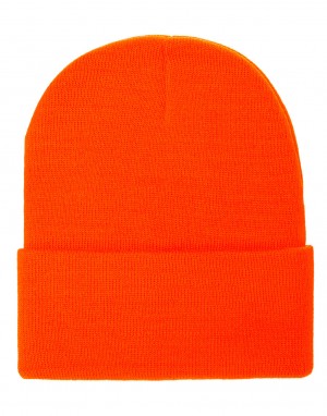 Drabužiai reklamai (Classics Thinsulate Cuffed Beanie), Flexfit 1535TH