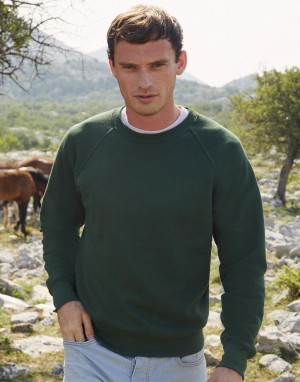Vyriškas klasikinis džemperis su reglano rankovėmis