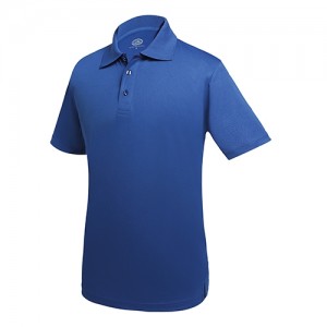 Mėlynos spalvos Polo marškinėliai