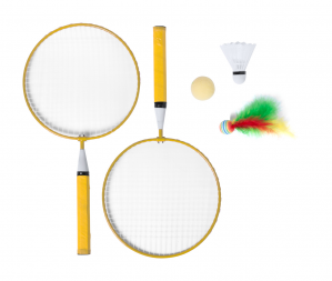Badmintono rinkinys Dylam