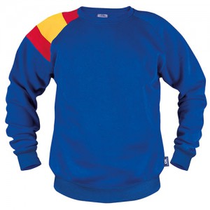 Mėlynas džemperis