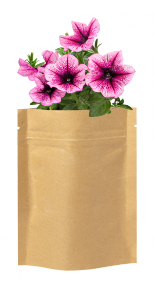 Verslo dovanos Sober (flower planting kit)