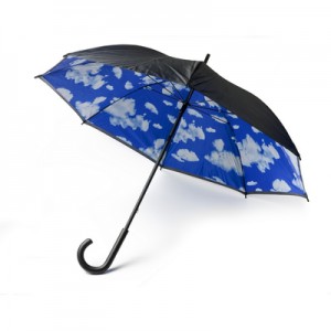 Rankinis skėtis