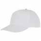 Reklaminė atributika: Hades 5 panel cap