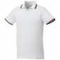 Reklaminė atributika: Fairfield short sleeve mens polo with tipping