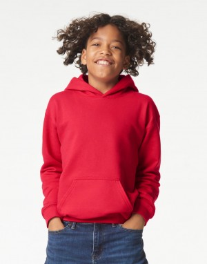 Drabužiai reklamai (Softstyle Midweight Fleece Youth Hoodie), Gildan SF500B