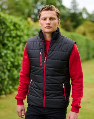 Drabužiai reklamai (Men's Navigate Thermal Bodywarmer), Regatta Professional TRA892