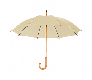 Verslo dovanos Santy (umbrella)