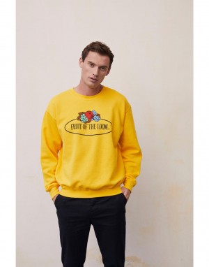 Drabužiai reklamai (Vintage Sweat Set In Large Logo Print), Fruit of the Loom Vintage Collection 012202A