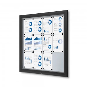 Lauko užrakinama vitrina su dujine spyruokle 12x A4 RAL 9005