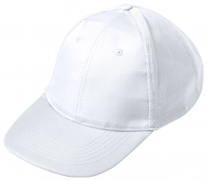 Verslo dovanos Himol (baseball cap)
