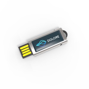 USB atmintinės skaidrė 2 GB Premium, 42 x 19 x 9 mm