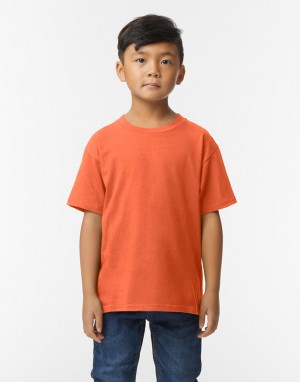 Drabužiai reklamai (Softstyle Midweight Youth T-Shirt), Gildan 65000B